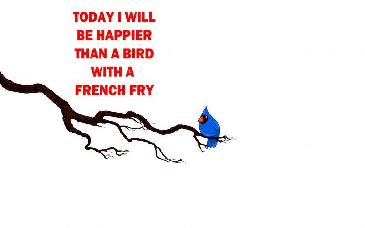 quote, White, Minimalism, Birds, French Fries HD Wallpaper Desktop Background