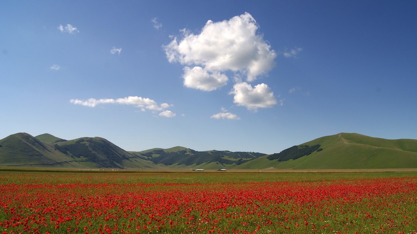 field, Mountain, Flowers, Landscape Wallpaper