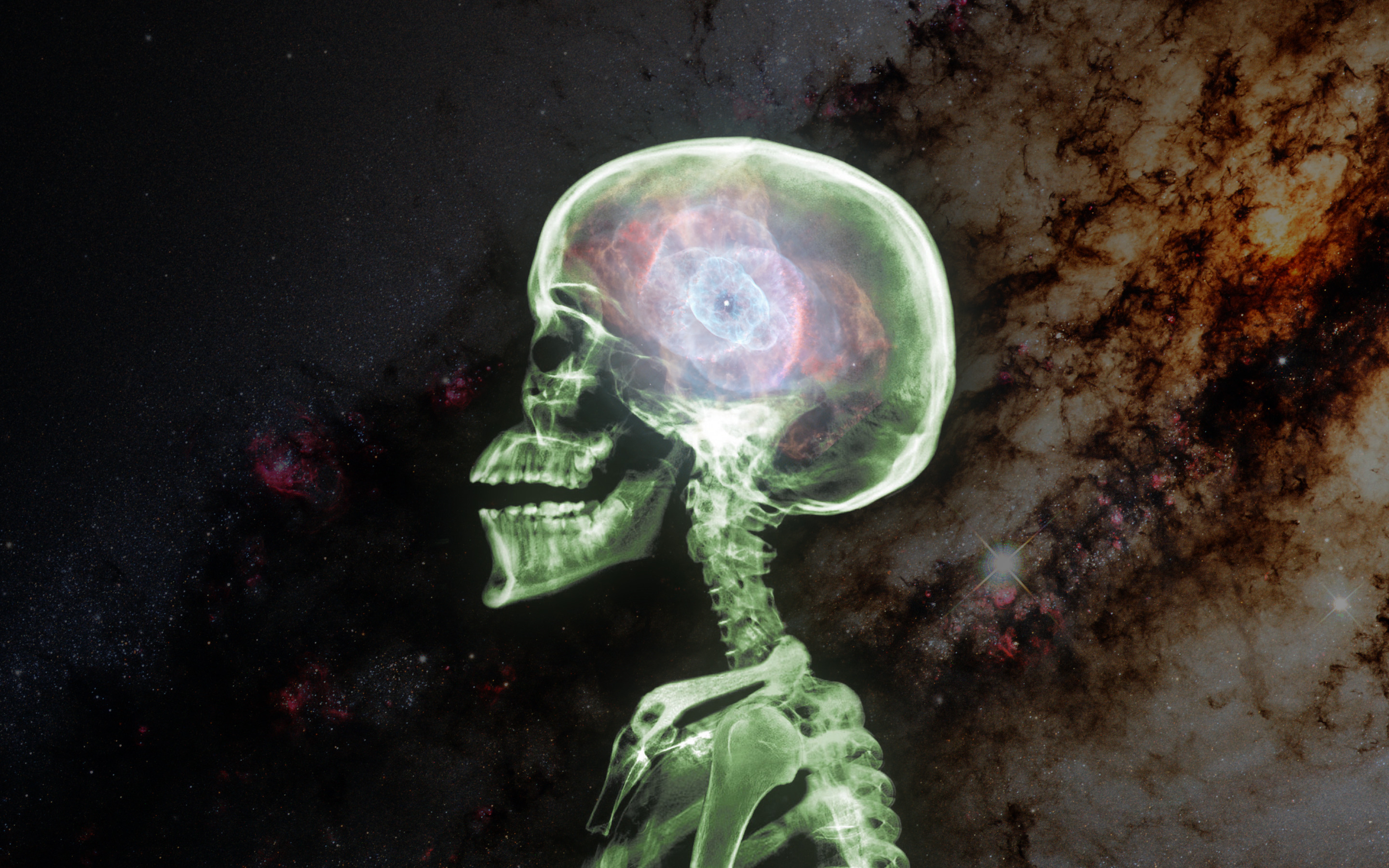 space, Nebula, Colorful, X rays, Bones Wallpaper