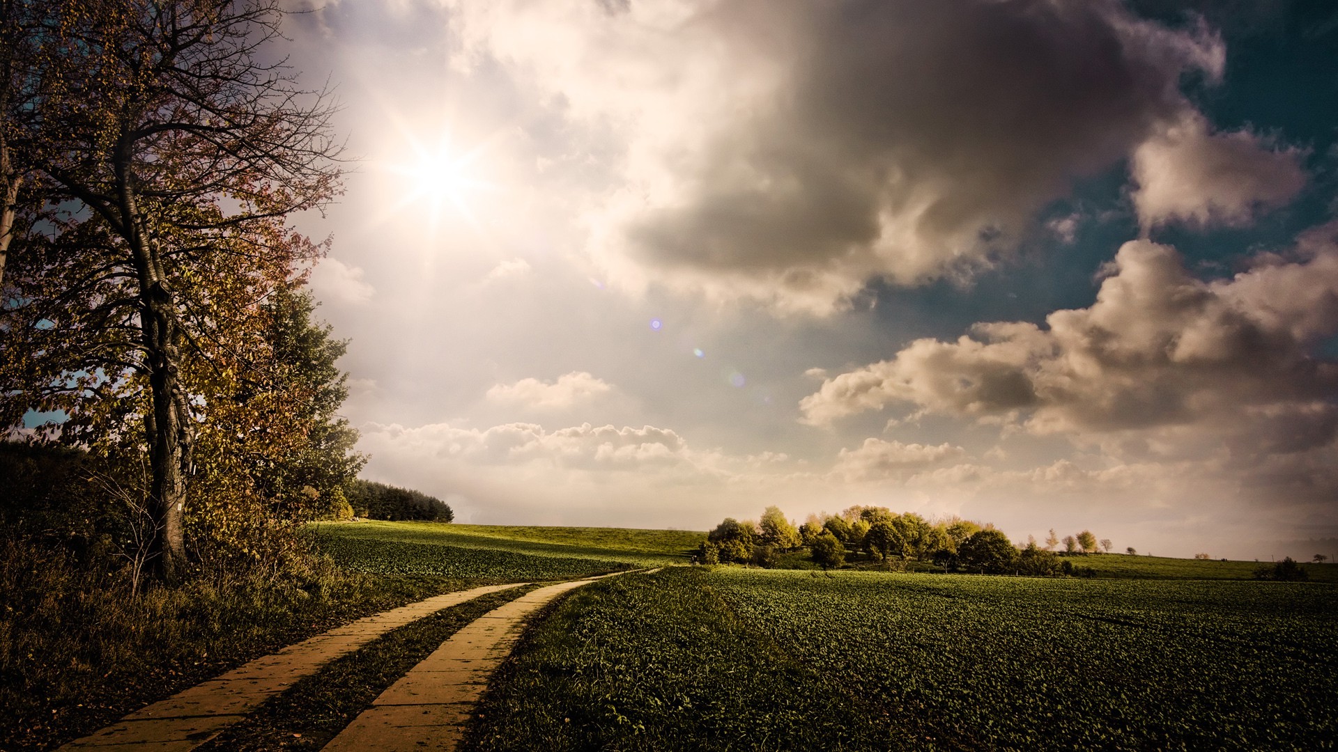 nature Wallpaper
