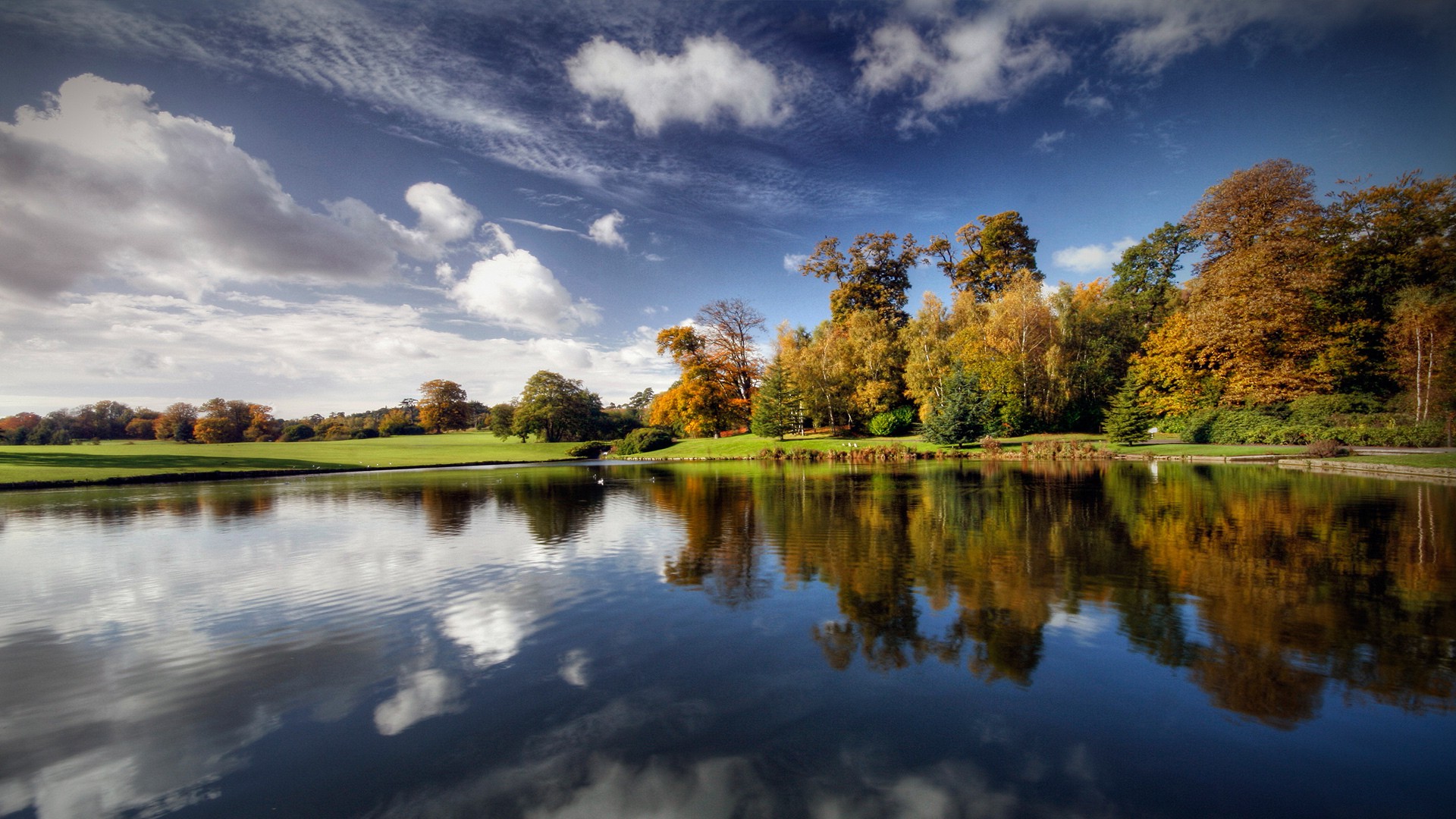 nature Wallpaper
