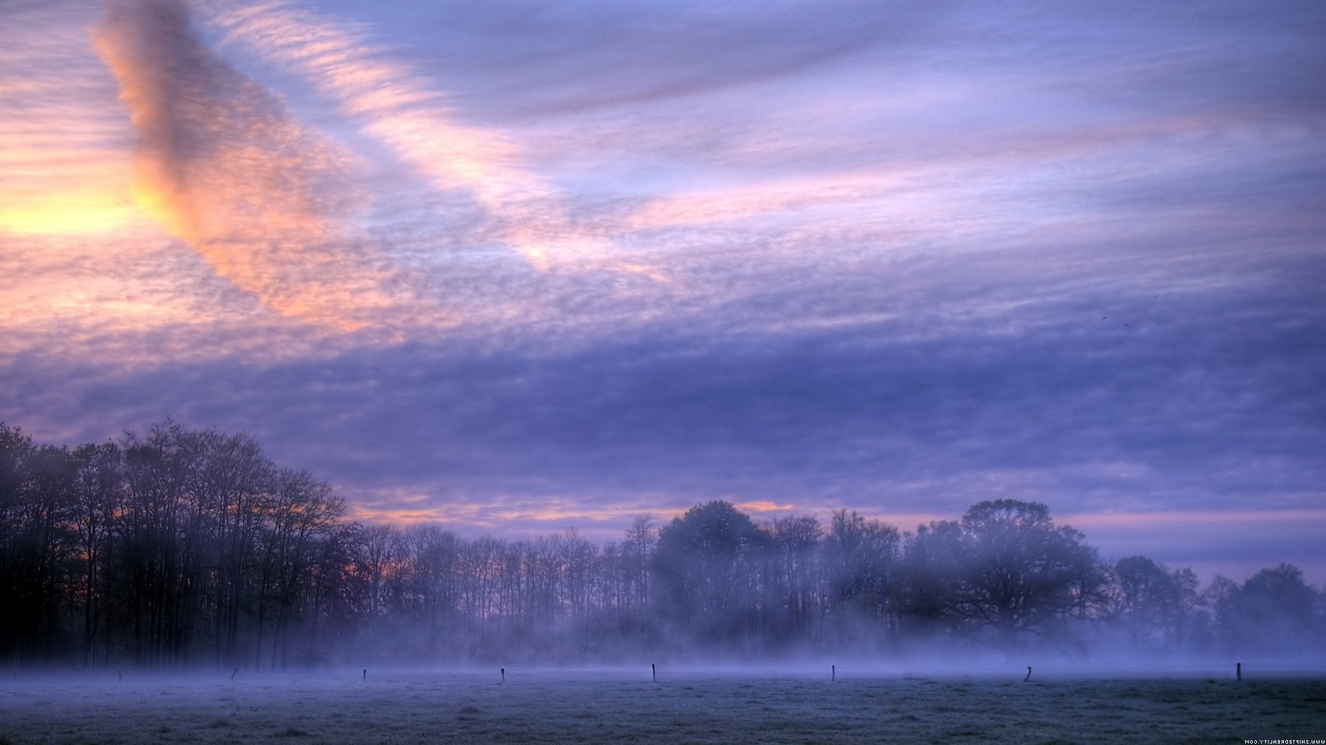 sunrise, Mist, Clouds, Field, Nature Wallpaper