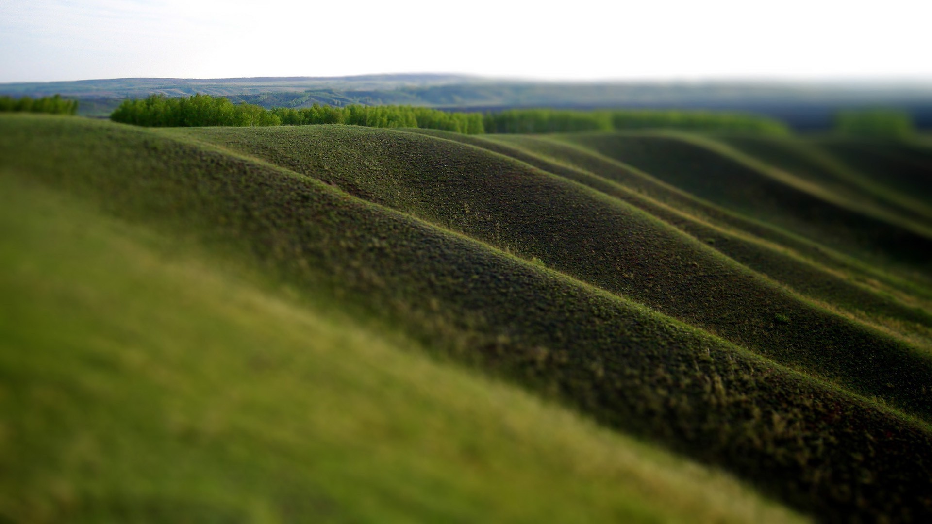 blurred, Landscape, Grass Wallpaper