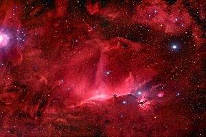 space, Nebula, Stars, Horsehead Nebula