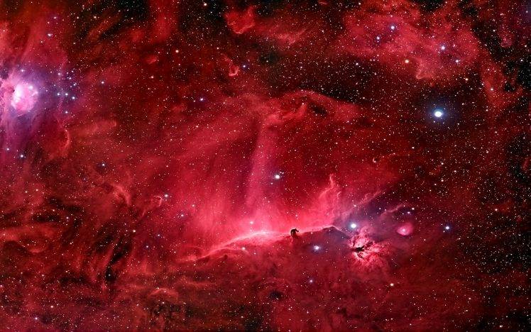 space, Nebula, Stars, Horsehead Nebula HD Wallpaper Desktop Background