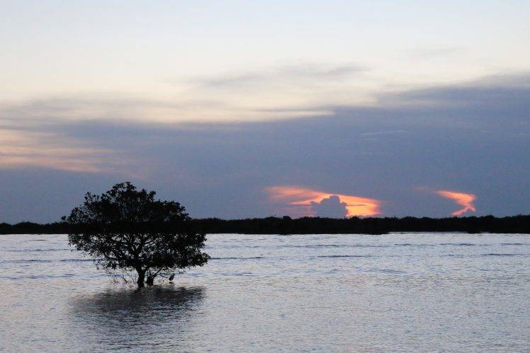 Siem Reap, Sunset, Water, Lake, Sea, Blue, Trees HD Wallpaper Desktop Background