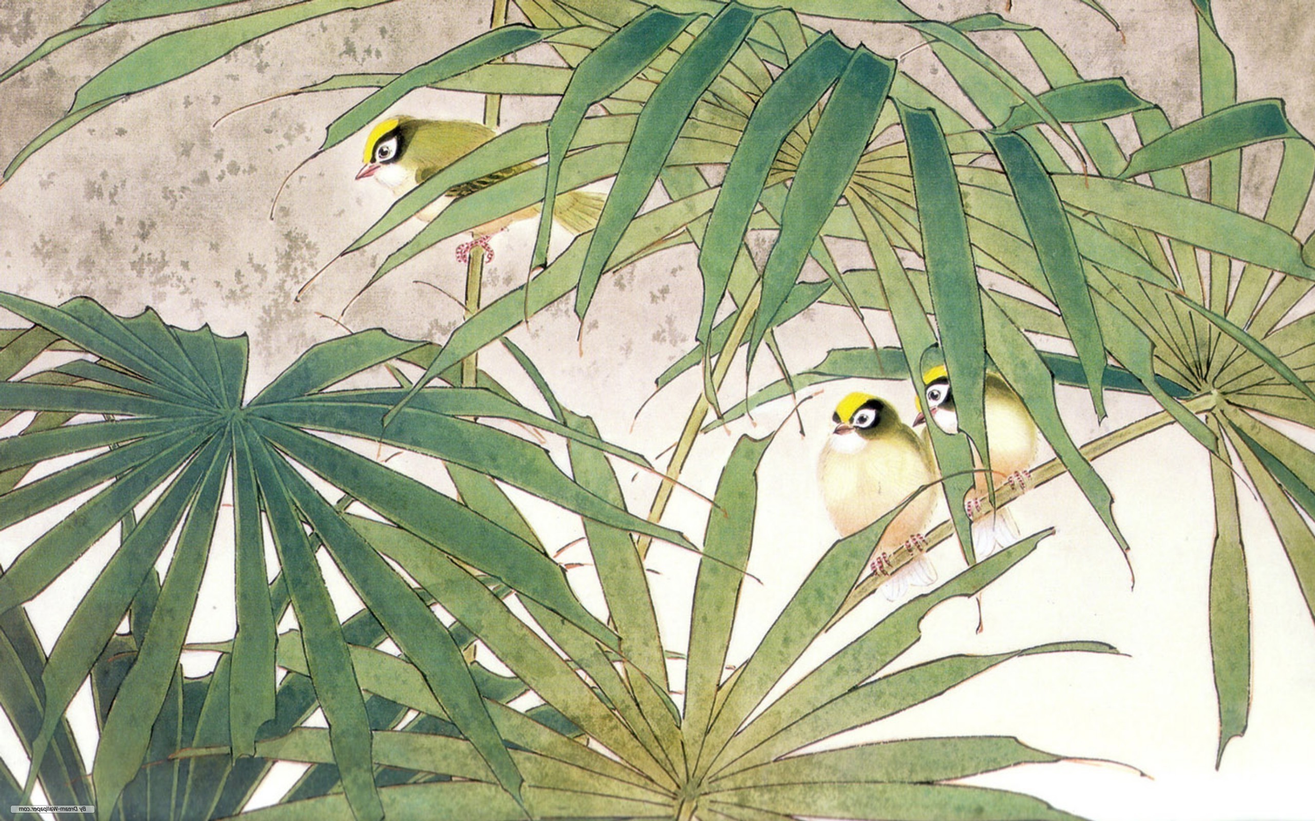 birds, Nature Wallpaper