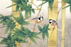 birds, Bamboo, Nature