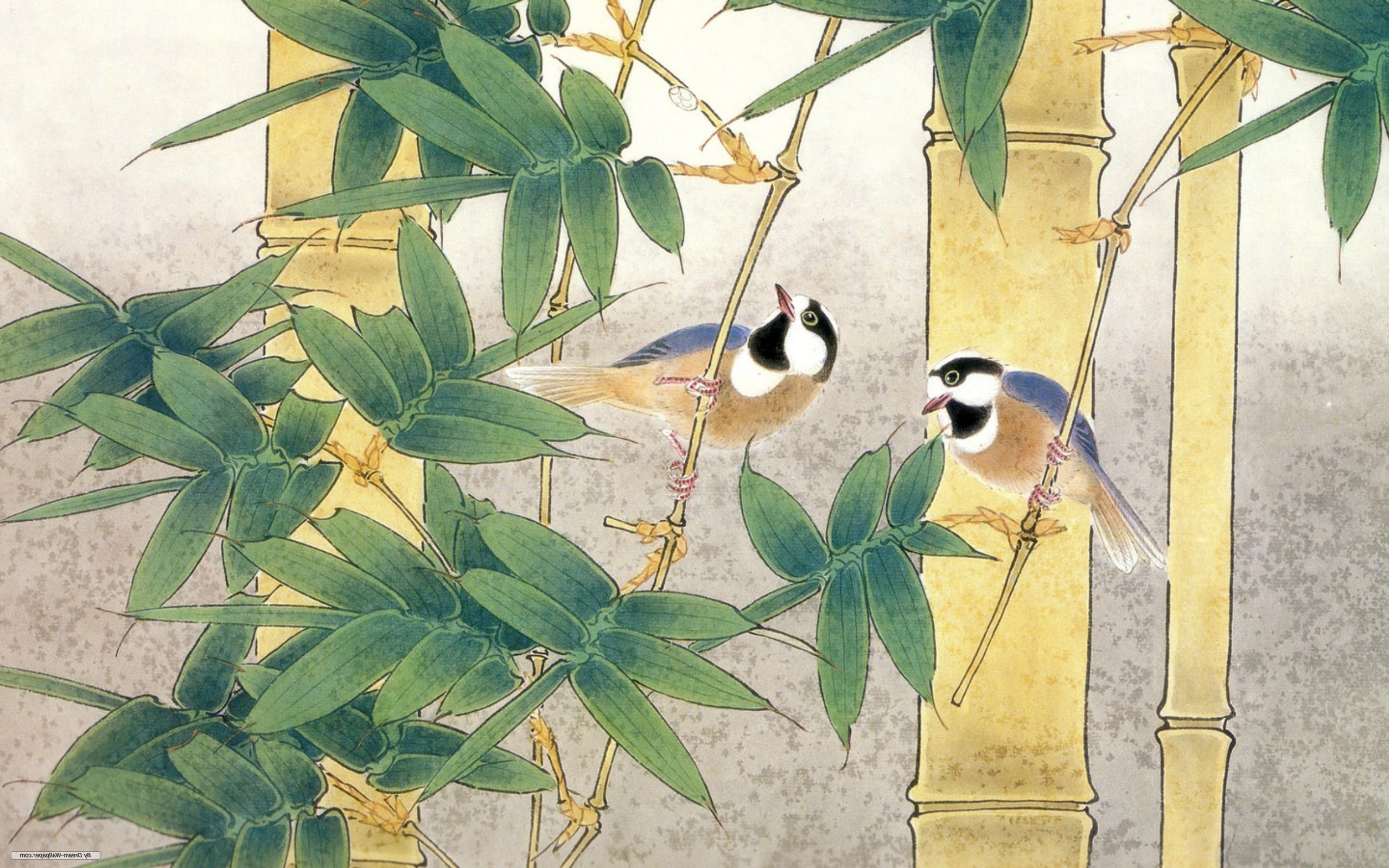 birds, Bamboo, Nature Wallpaper
