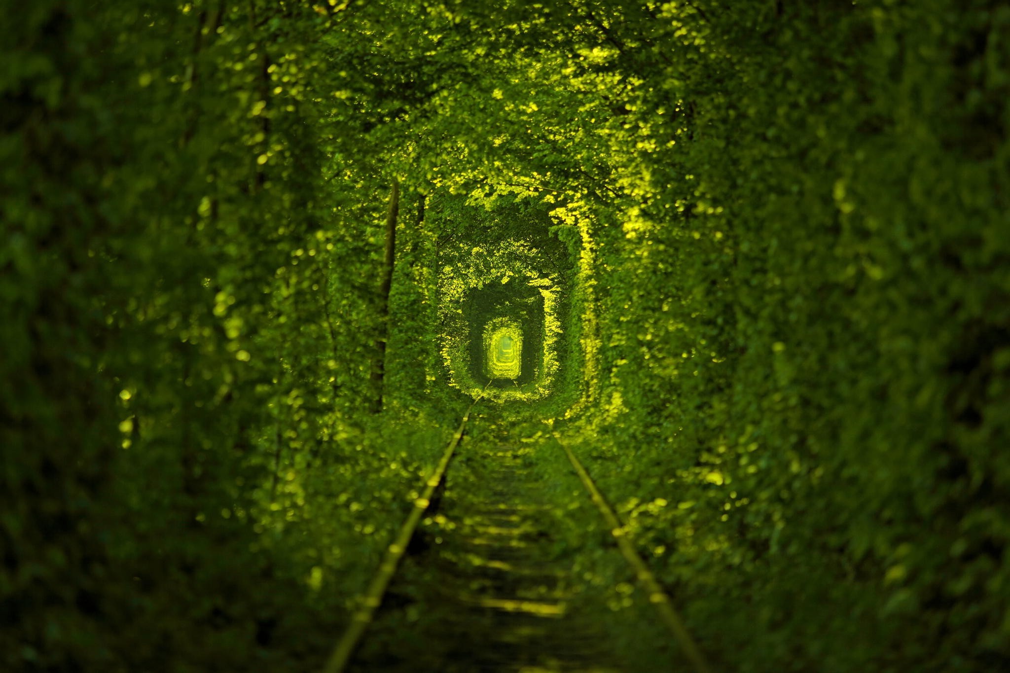 nature, Ukraine, Railway, Trees Wallpaper