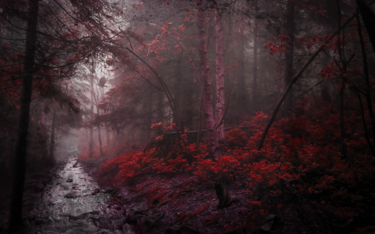red, Trees, Black Cats, River, Crow HD Wallpaper Desktop Background