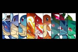 Ivysaur, Charmeleon, Pokemon, Charizard, Pokemon First Generation
