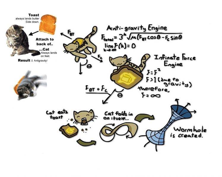 cat, Humor, Physics HD Wallpaper Desktop Background