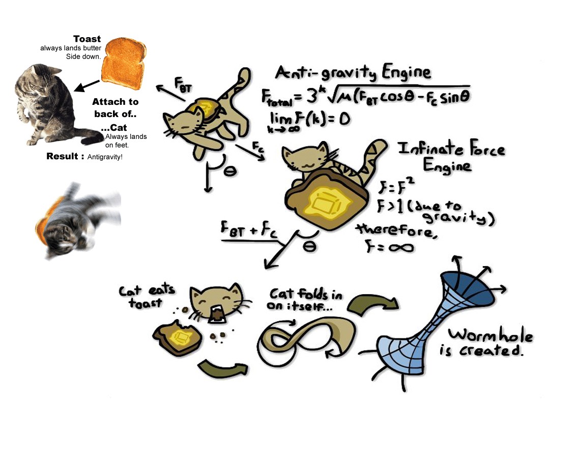 cat, Humor, Physics Wallpaper