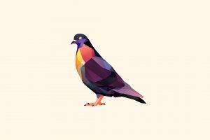 animals, Facets, Pigeons, Digital Art, Justin Maller, Birds