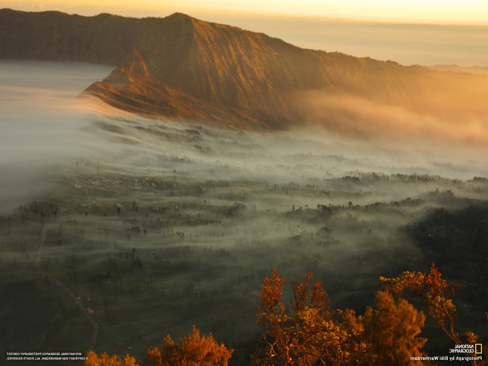 landscape, Mist Wallpaper