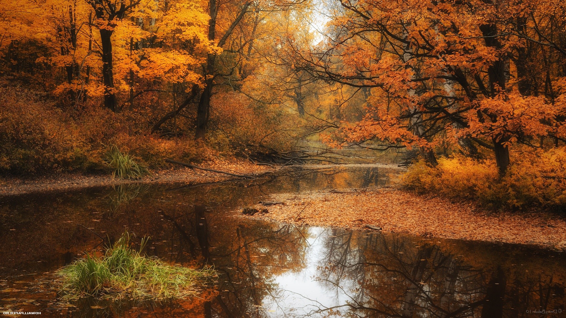 nature, Fall, Water, River Wallpaper