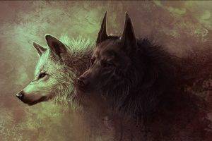 wolf, Animals