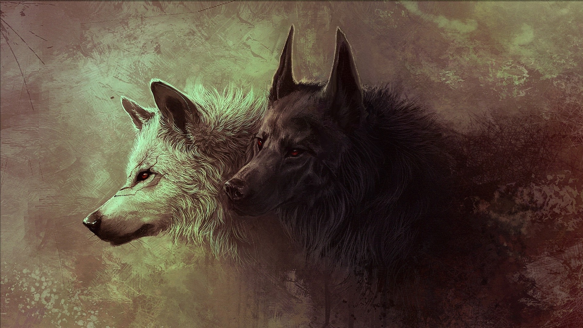 wolf, Animals Wallpaper