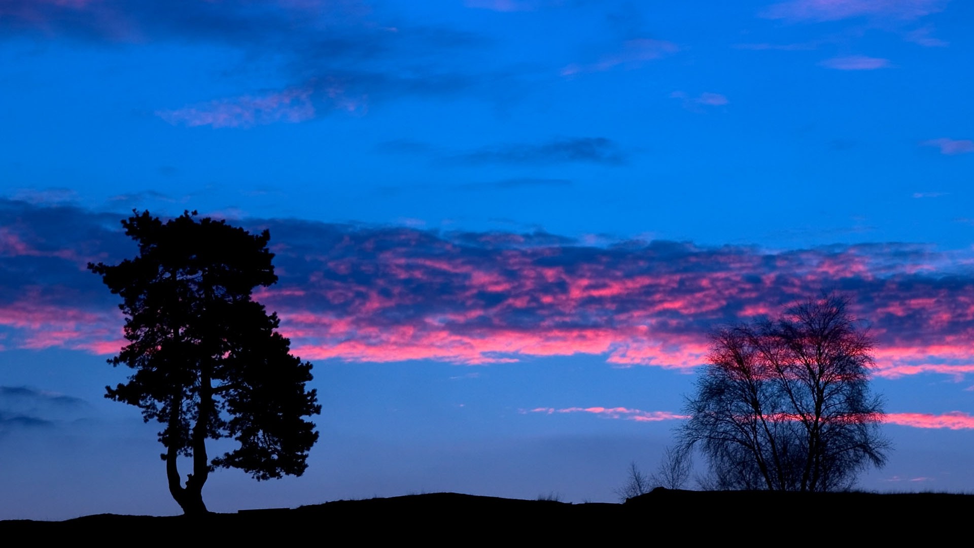 nature Wallpaper