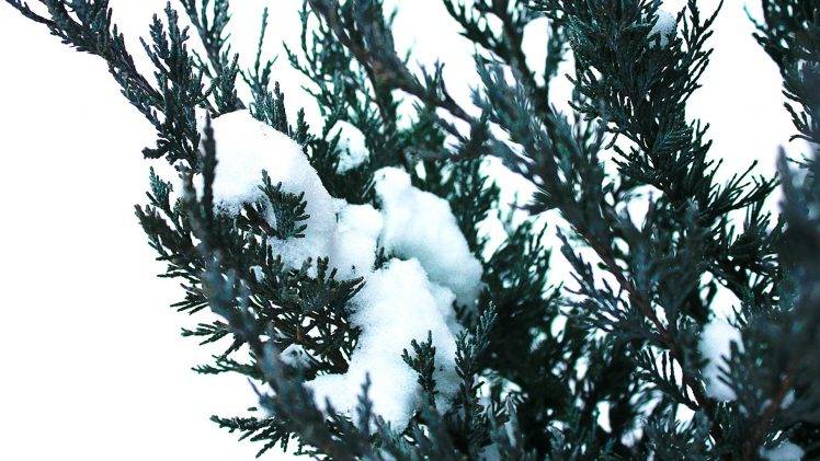 nature, Winter, Snow HD Wallpaper Desktop Background