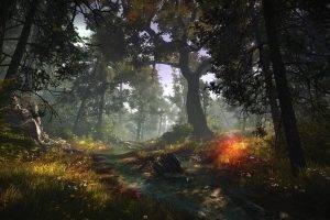 The Witcher 2 Assassins Of Kings, Forest, Nature, Screenshots