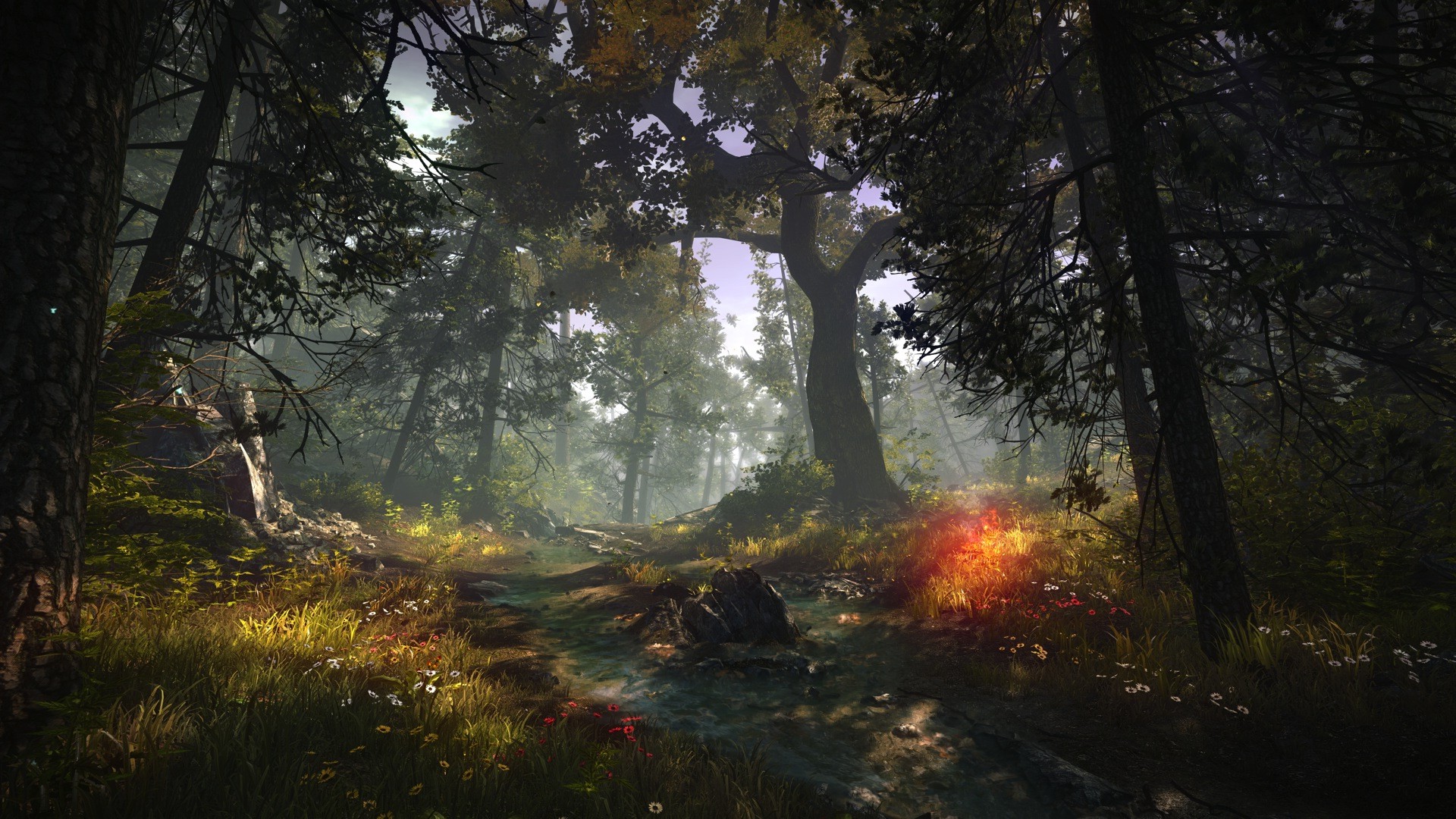 The Witcher 2 Assassins Of Kings, Forest, Nature, Screenshots Wallpaper