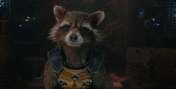 Guardians Of The Galaxy, Rocket Raccoon, Movies HD Wallpaper Desktop Background