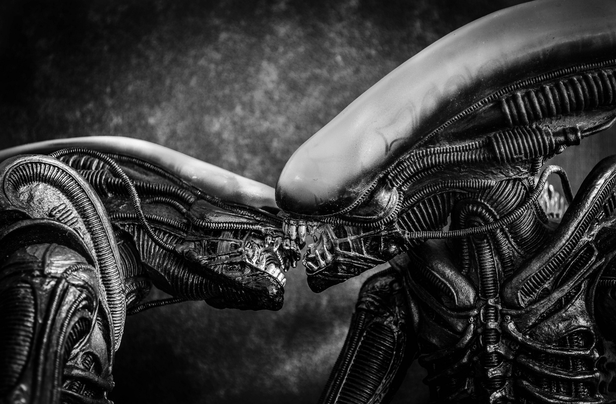 digital Art, Xenomorph Wallpaper