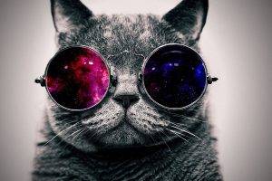 glasses, Cat, Space, Abstract, Minimalism, Animals