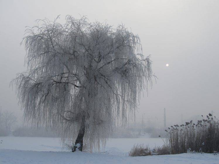 winter, Cold, Snow, Ice, Lake, Trees HD Wallpaper Desktop Background