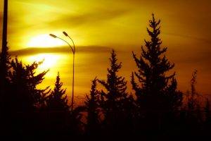 nature, Sunset, Silhouette, Trees
