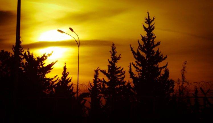 nature, Sunset, Silhouette, Trees HD Wallpaper Desktop Background