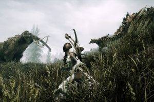 The Elder Scrolls V: Skyrim, Dovakhiin, Dragon, Mammoths, Video Games