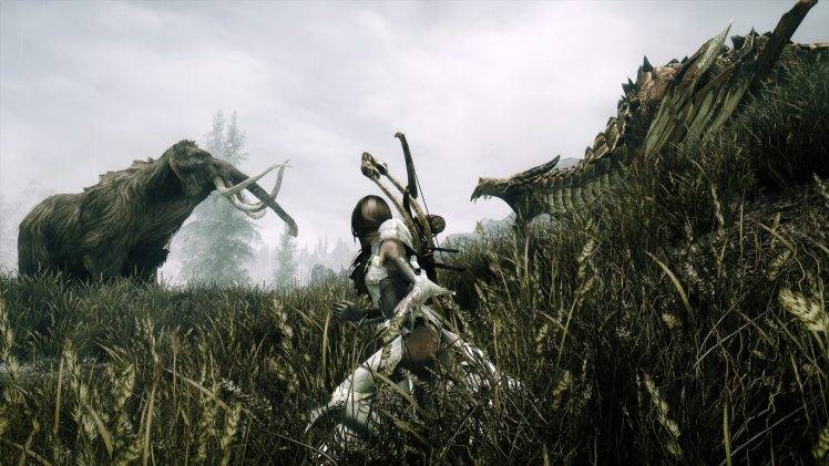 The Elder Scrolls V: Skyrim, Dovakhiin, Dragon, Mammoths, Video Games HD Wallpaper Desktop Background