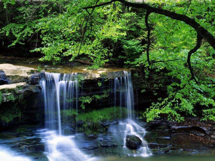waterfall, Nature, Green HD Wallpaper Desktop Background