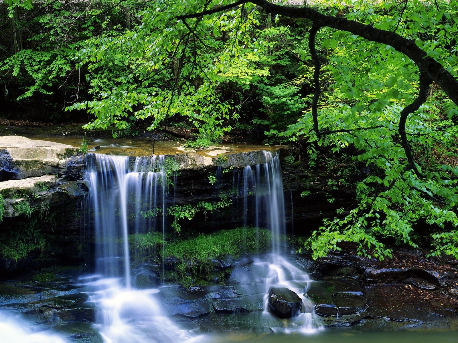 waterfall, Nature, Green Wallpaper