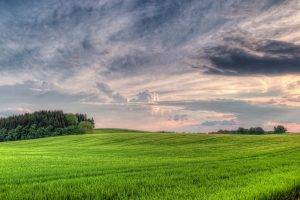 nature, Clouds, Trees, Landscape, Field
