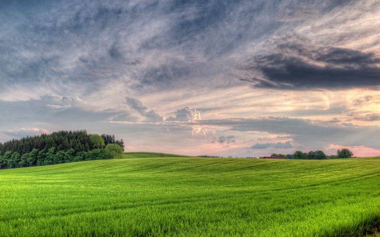 nature, Clouds, Trees, Landscape, Field Wallpapers HD / Desktop and Mobile  Backgrounds