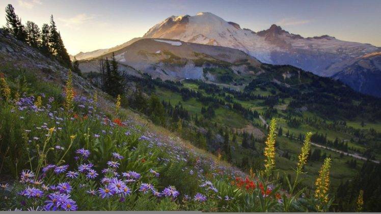 mountain, Nature, Flowers, Landscape HD Wallpaper Desktop Background