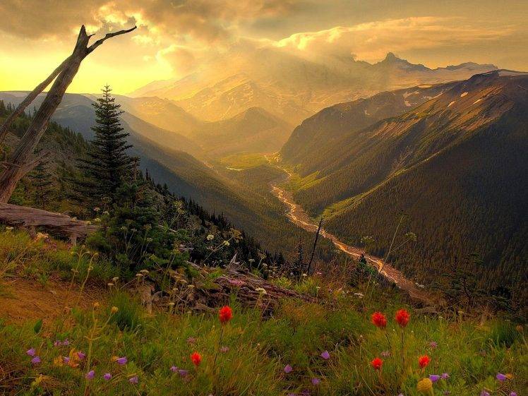 nature, Landscape, Sunlight, Flowers HD Wallpaper Desktop Background