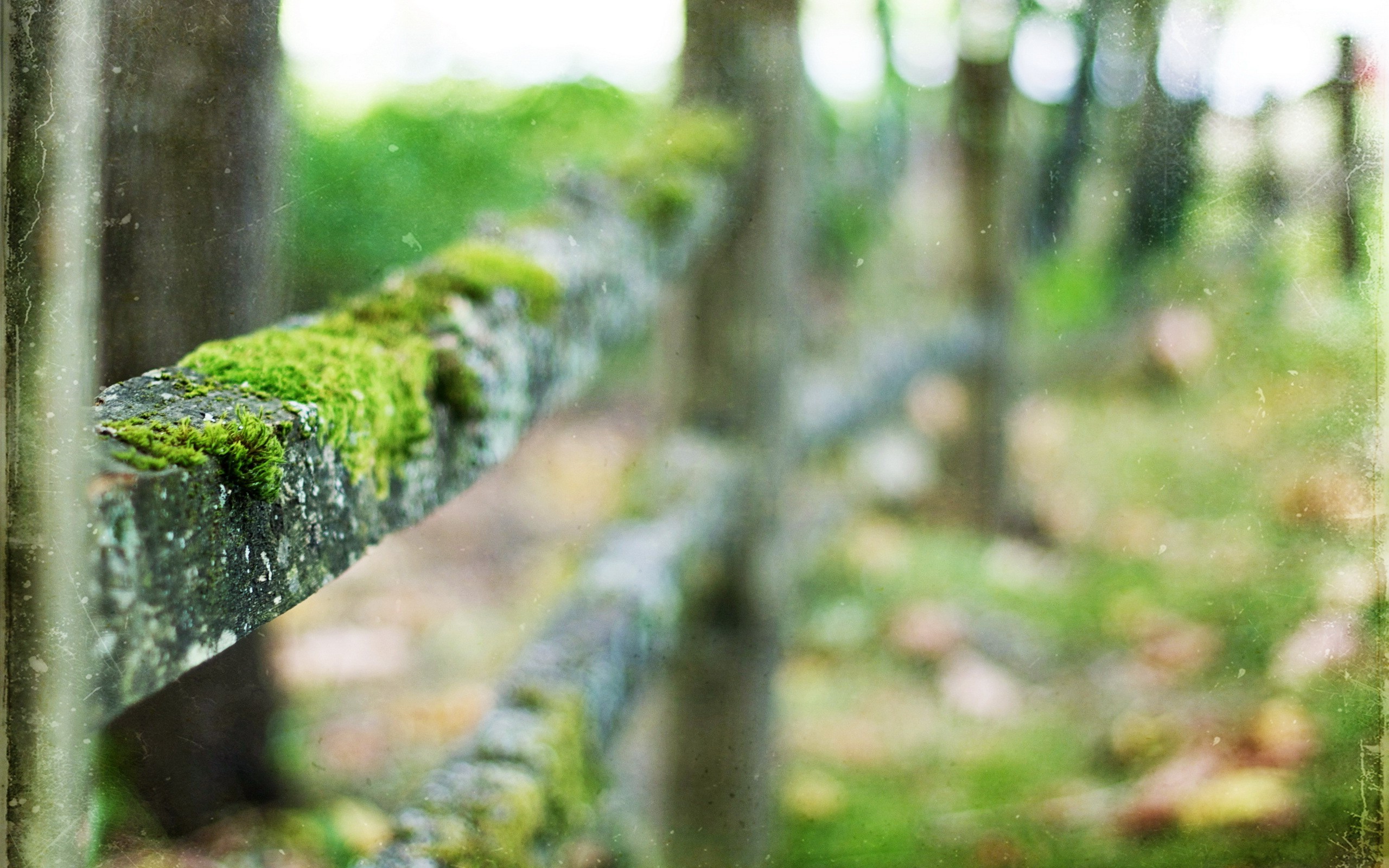 nature, Fence Wallpaper