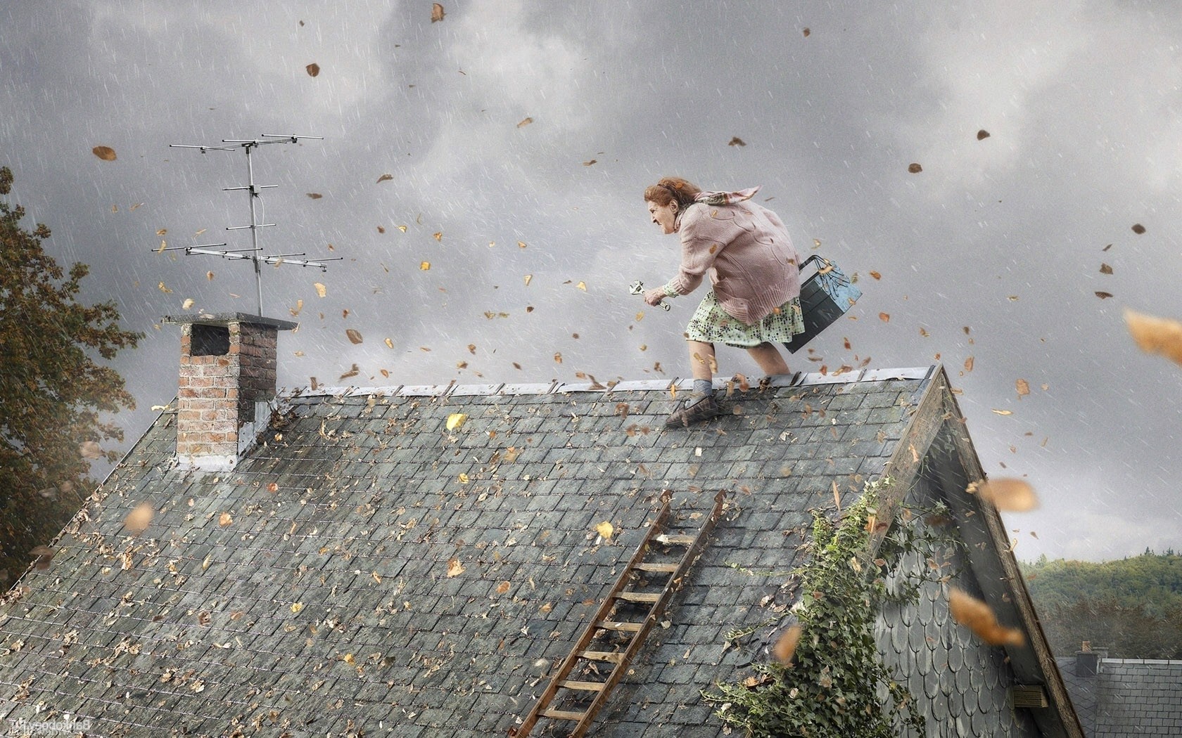 rooftops, Ladders, Artwork, Wind, Rain, Storm, Humor Wallpaper