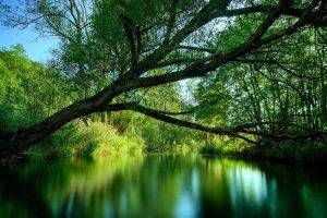 blurred, Nature, River