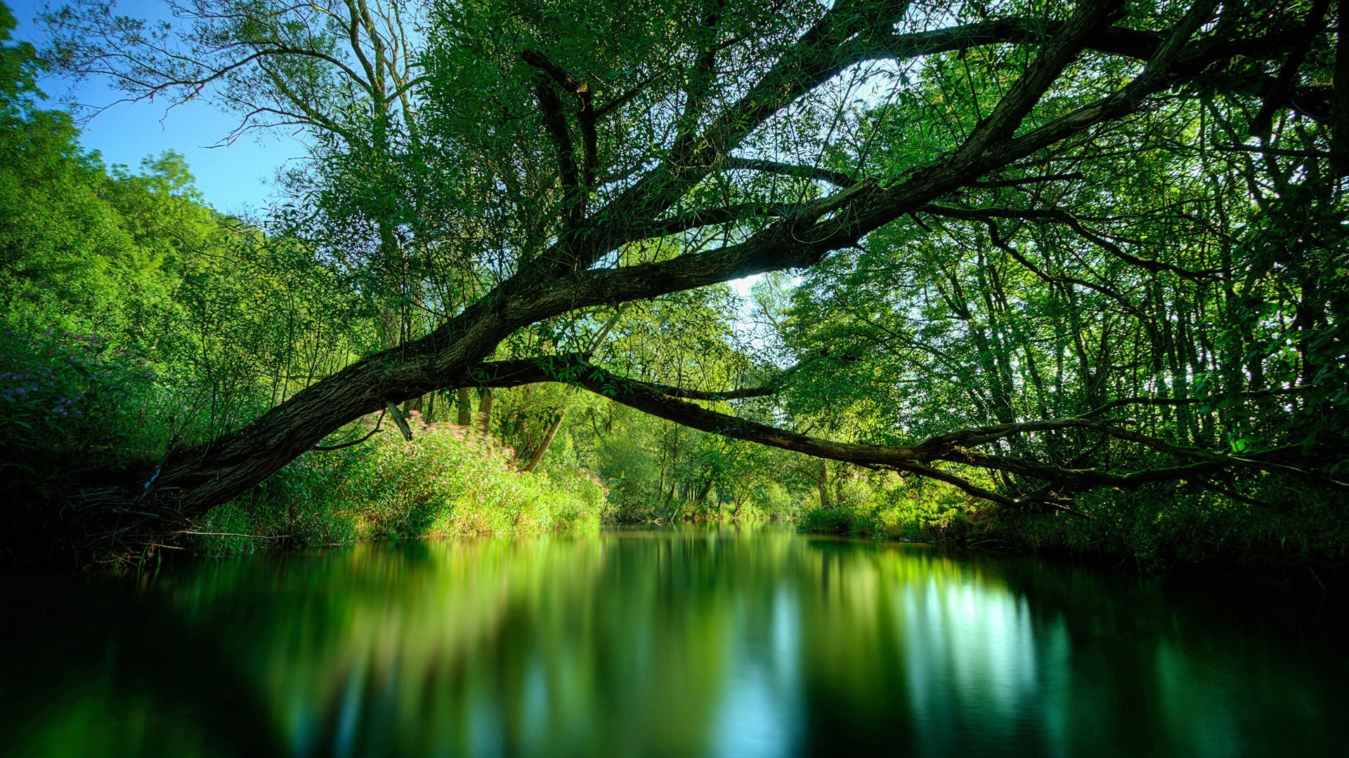 blurred, Nature, River Wallpaper