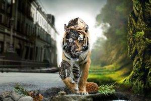 fantasy Art, Tiger, Animals