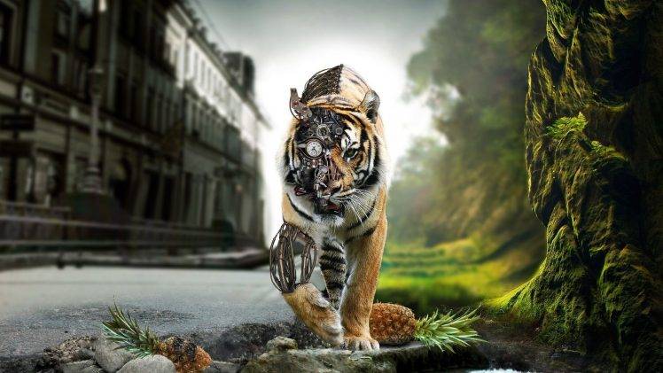 fantasy Art, Tiger, Animals HD Wallpaper Desktop Background