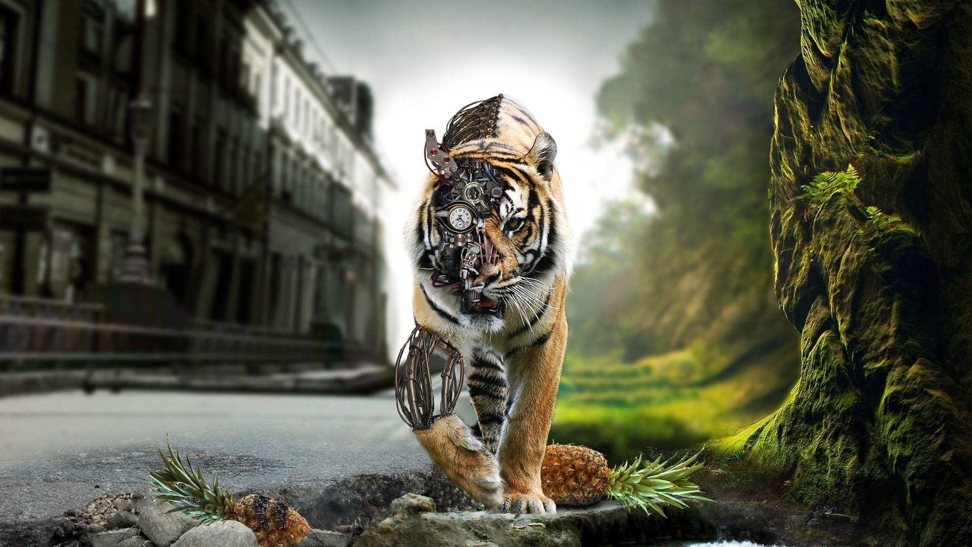 fantasy Art, Tiger, Animals Wallpaper