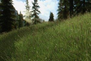 The Elder Scrolls V: Skyrim, Grass, Forest, Nature