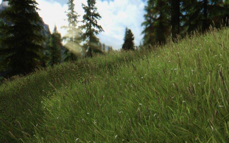 The Elder Scrolls V: Skyrim, Grass, Forest, Nature HD Wallpaper Desktop Background